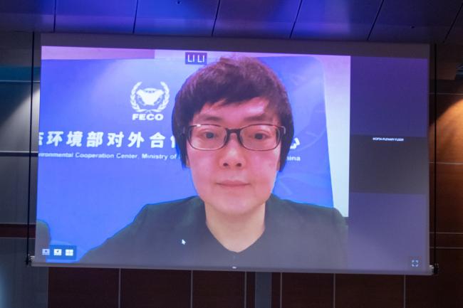 WHAT IS LI IN CHINA visual data 2